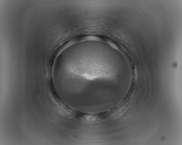 X0000095550272200712141602