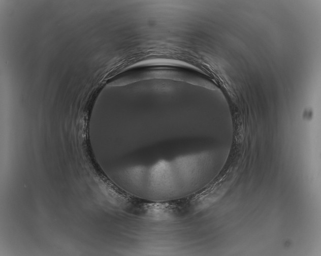 X0000095550273200712141602