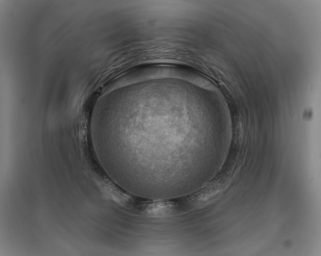 X0000095550274200712141602