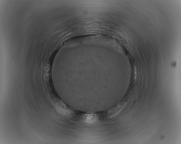 X0000095550275200712141602