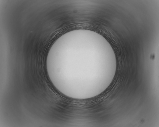 X0000095550276200712141602