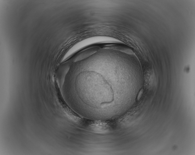 X0000095550278200712141602