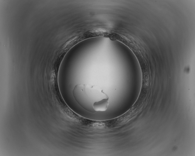 X0000095550279200712141602