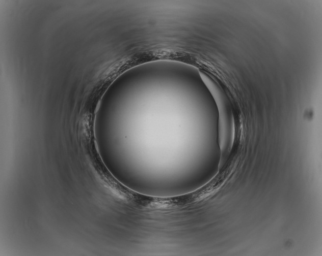 X0000095550280200712141602