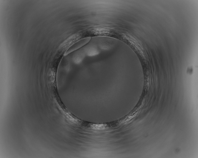 X0000095550281200712141602