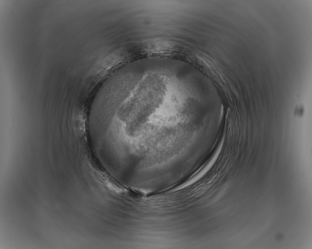 X0000095550282200712141602