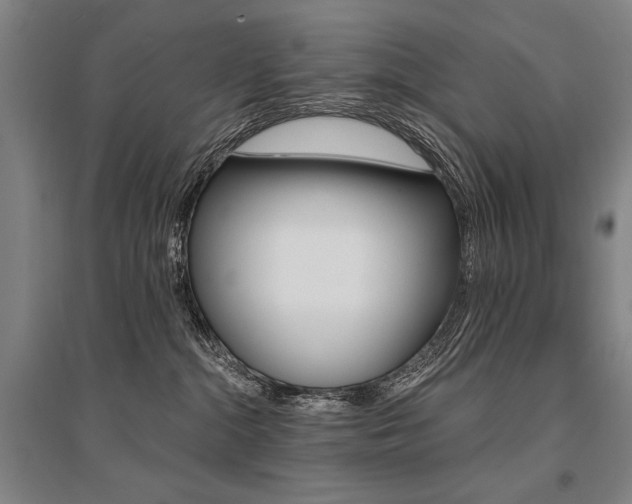 X0000095550284200712141602