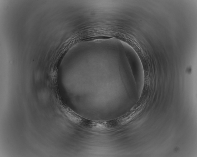 X0000095550285200712141602