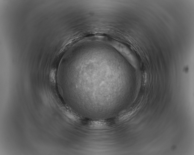 X0000095550286200712141602