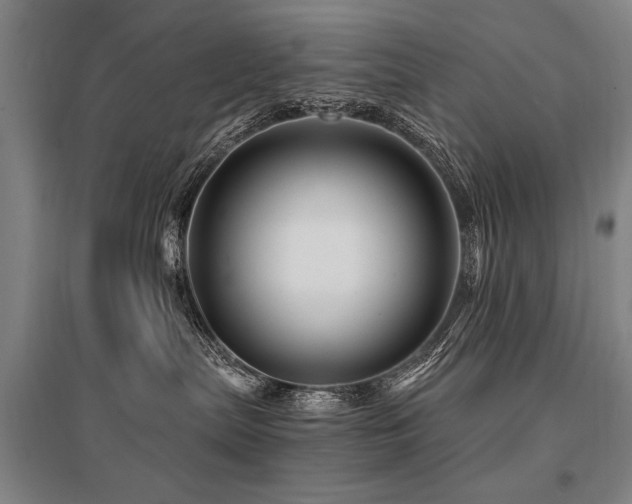 X0000095550287200712141602