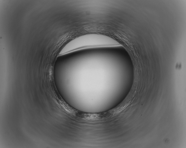 X0000095550288200712141602