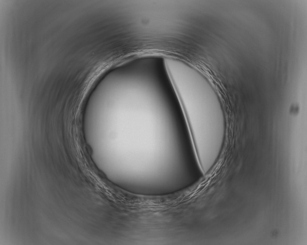 X0000095550289200712141601