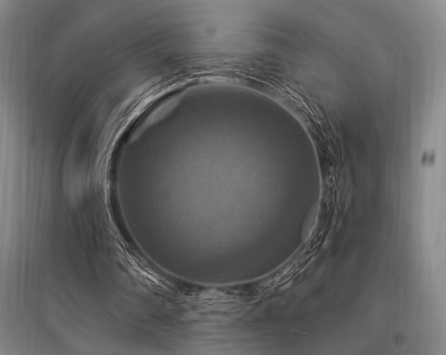 X0000095550290200712141601