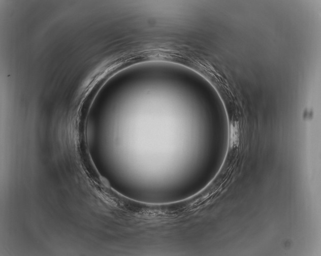 X0000095550291200712141601