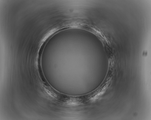 X0000095550292200712141601