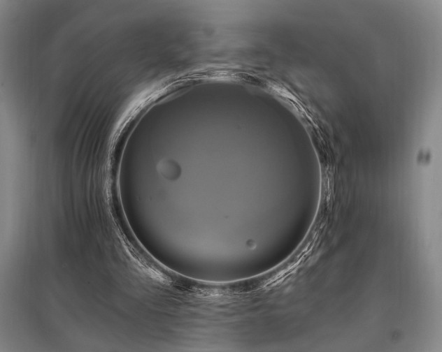 X0000095550293200712141601