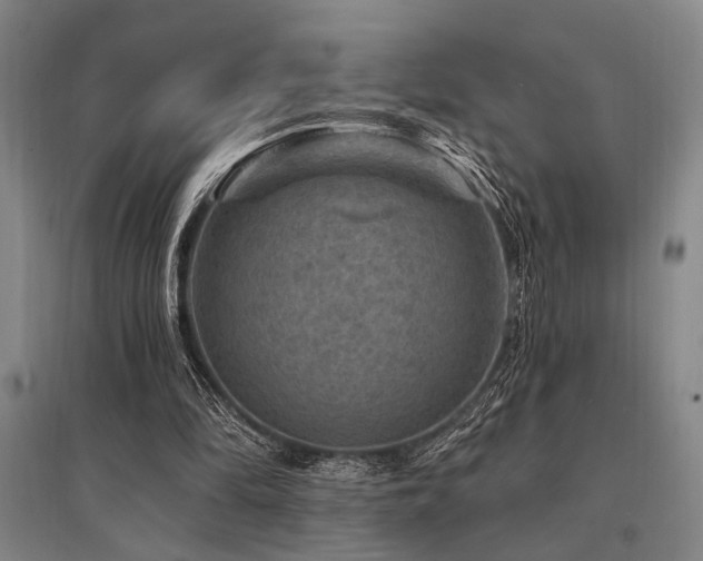 X0000095550294200712141601