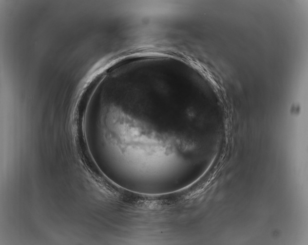 X0000095550295200712141601