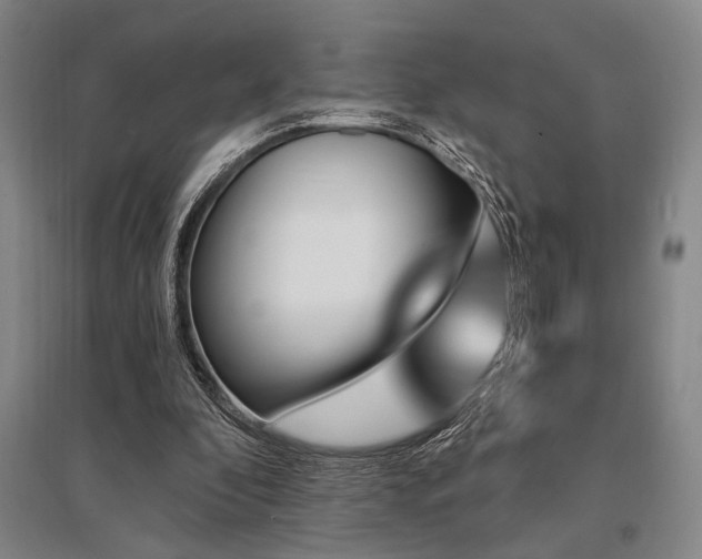 X0000095550296200712141601