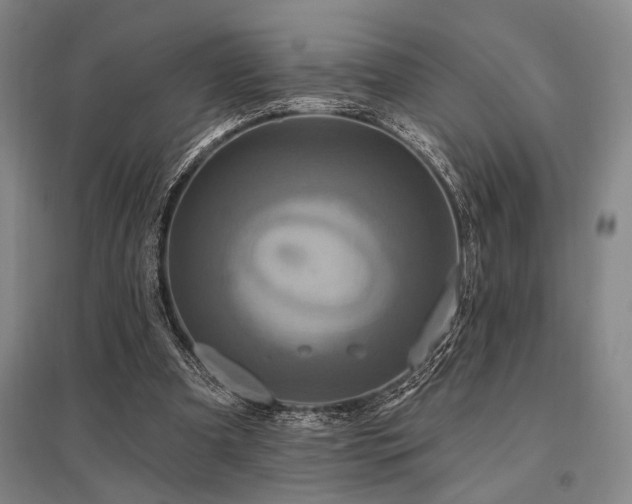 X0000095550297200712141601