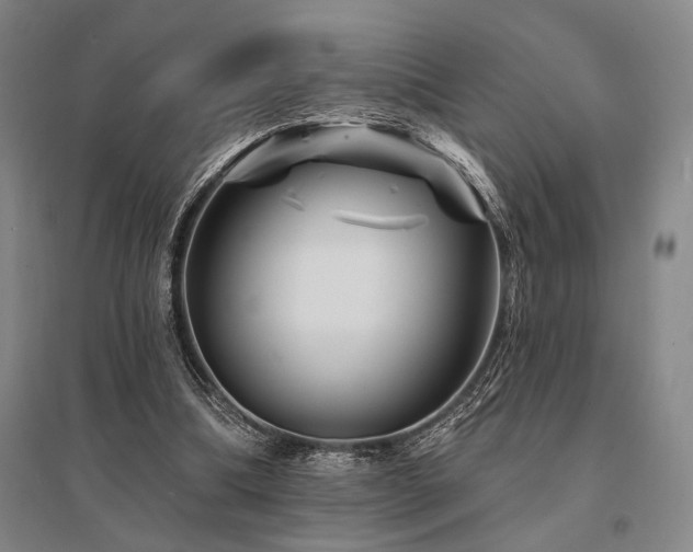 X0000095550298200712141601