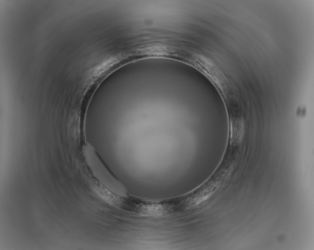 X0000095550301200712141601