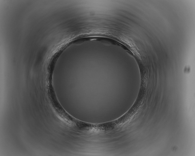 X0000095550303200712141601