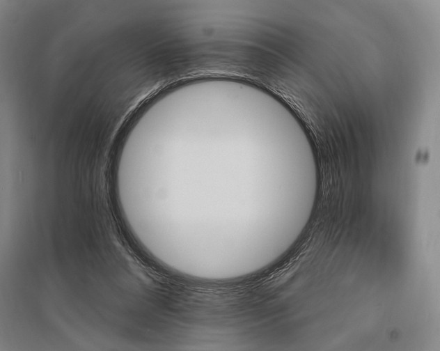 X0000095550304200712141601