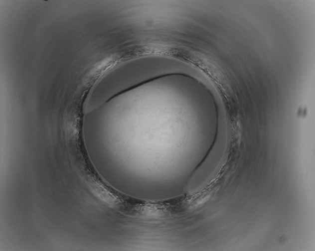 X0000095550305200712141601