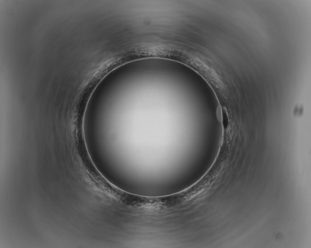 X0000095550306200712141601