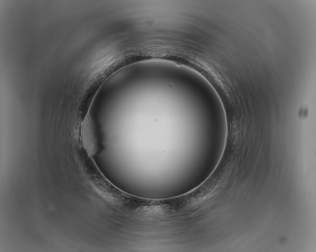 X0000095550307200712141601