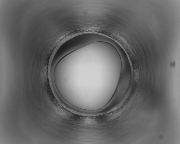 X0000095550308200712141601