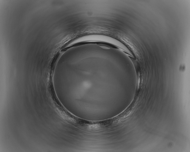 X0000095550309200712141601