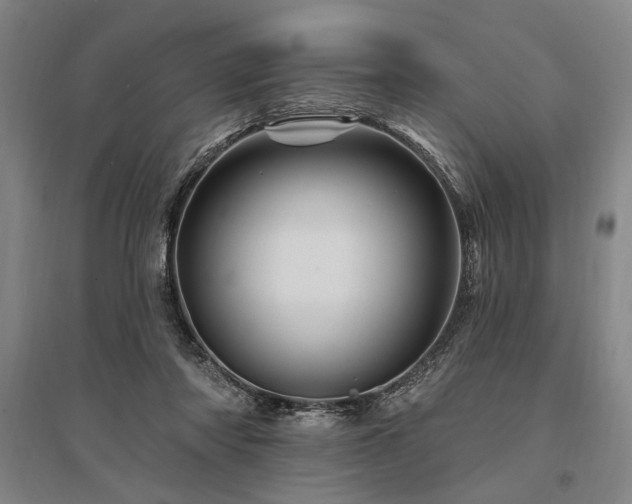 X0000095550310200712141601