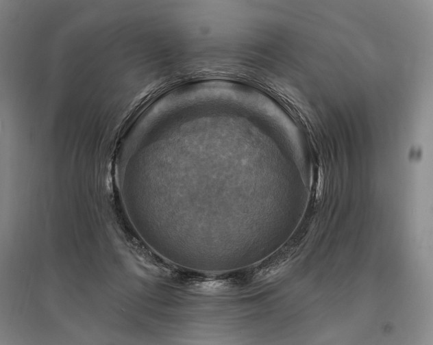 X0000095550312200712141601