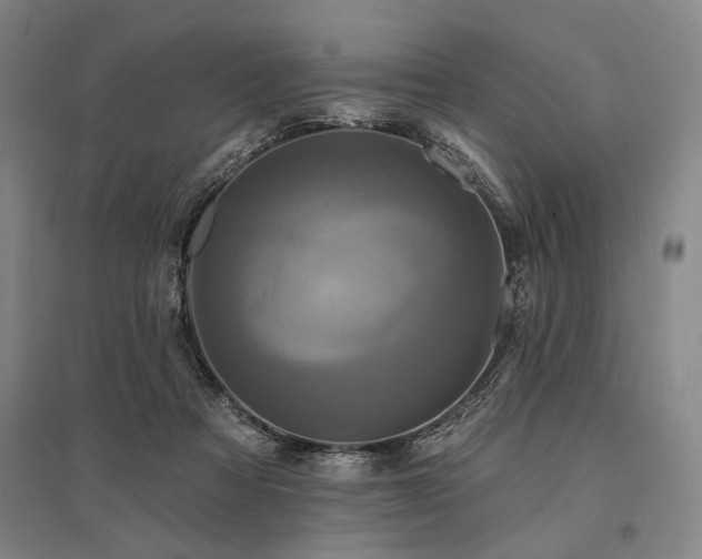 X0000095550313200712141601