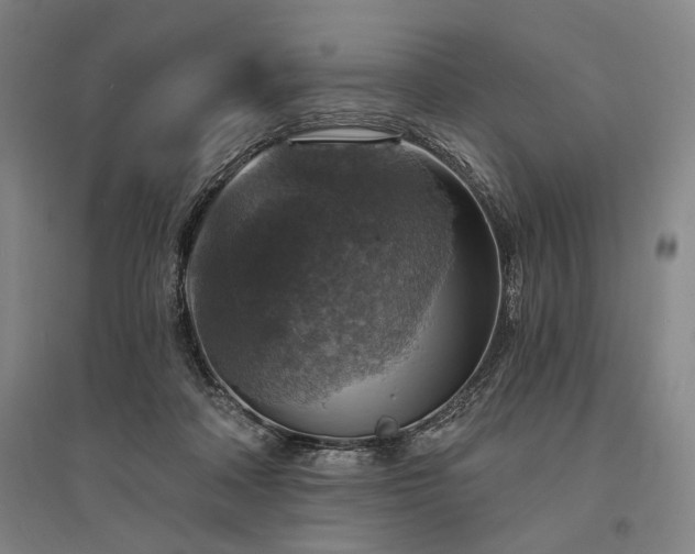 X0000095550314200712141601