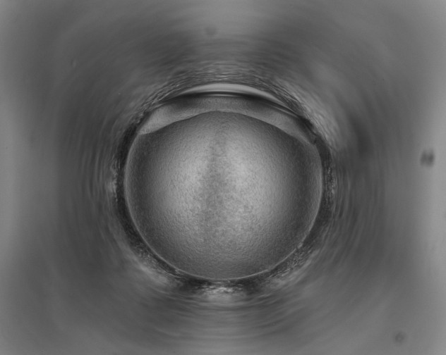 X0000095550315200712141601