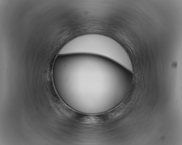 X0000095550316200712141601