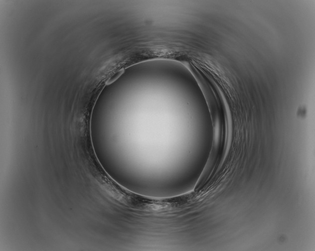 X0000095550317200712141601