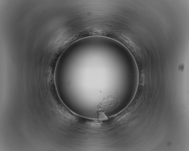 X0000095550318200712141601