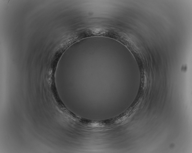 X0000095550319200712141601