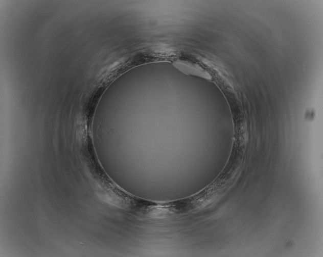 X0000095550320200712141601