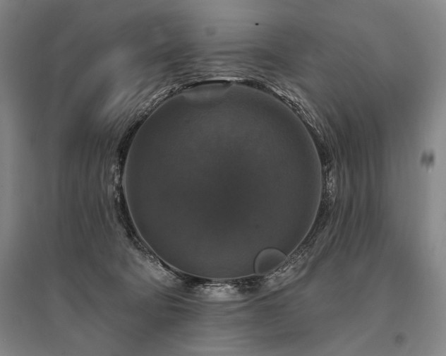 X0000095550322200712141601