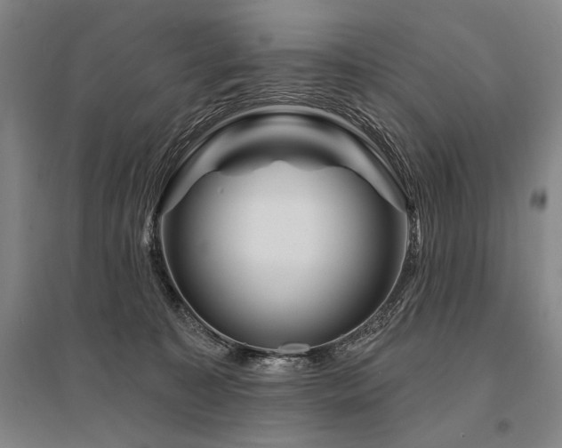 X0000095550323200712141601