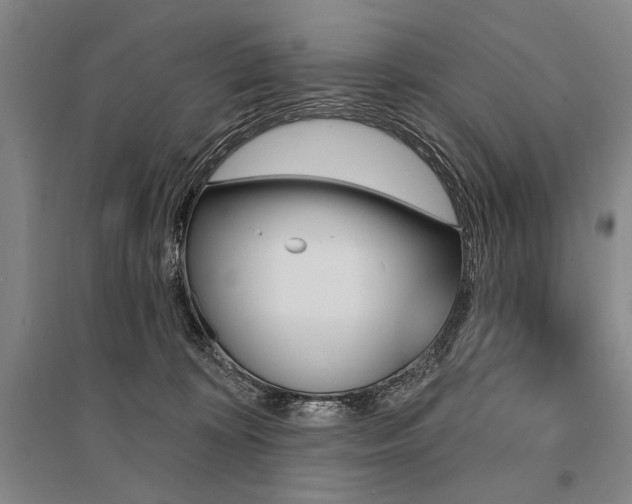 X0000095550324200712141601