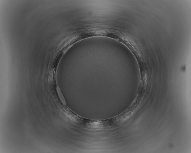 X0000095550325200712141601