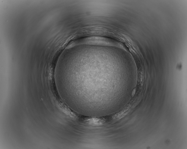 X0000095550326200712141601