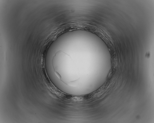 X0000095550328200712141601