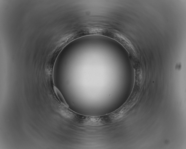 X0000095550329200712141601